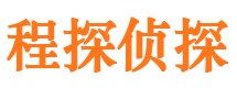 民丰市侦探调查公司